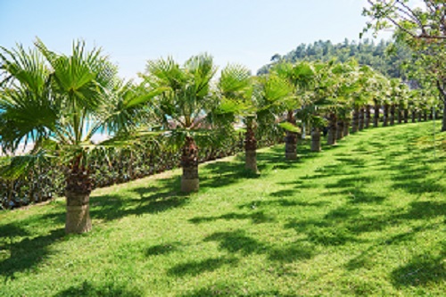 Melbourne Landscaping Services Melbourne Landscaping Services